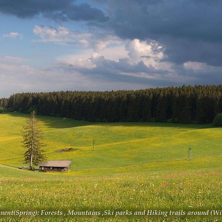Villa Entire House in Schwarzwald with mountain view, private Gym,Sauna&Garden Unterkirnach Exterior foto