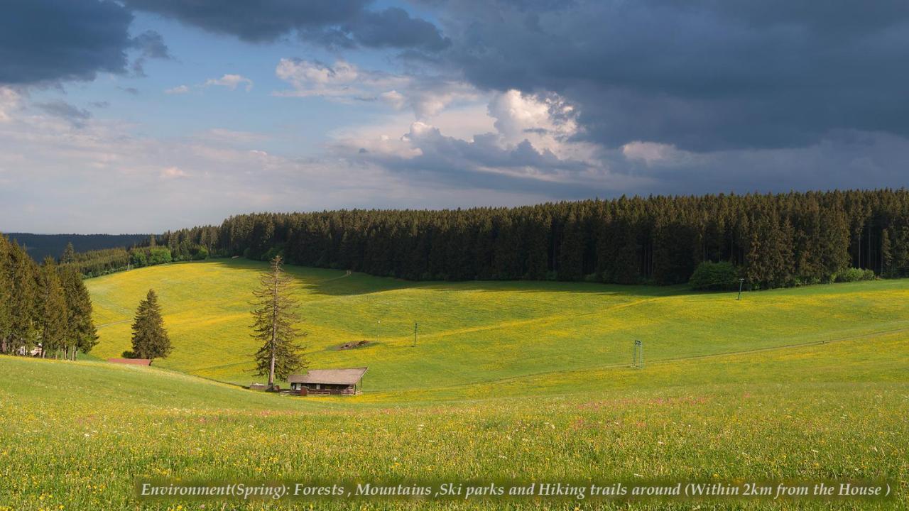 Villa Entire House in Schwarzwald with mountain view, private Gym,Sauna&Garden Unterkirnach Exterior foto