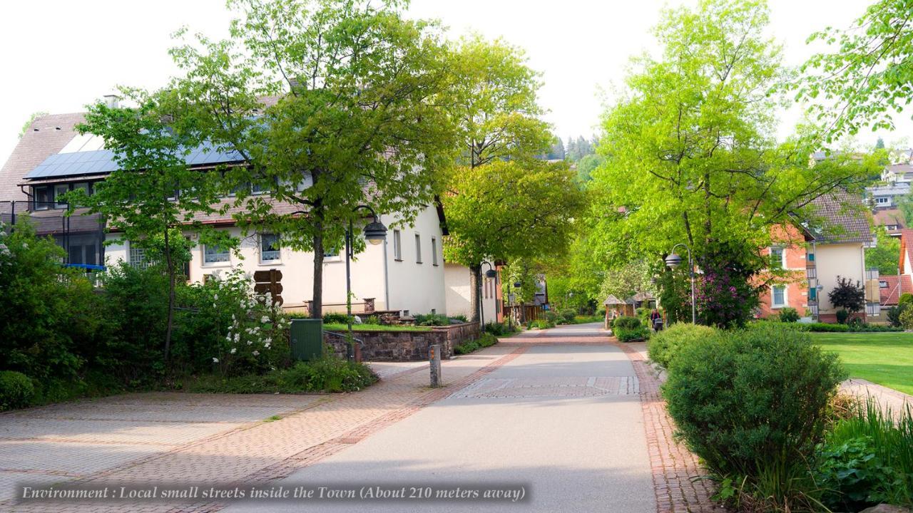 Villa Entire House in Schwarzwald with mountain view, private Gym,Sauna&Garden Unterkirnach Exterior foto