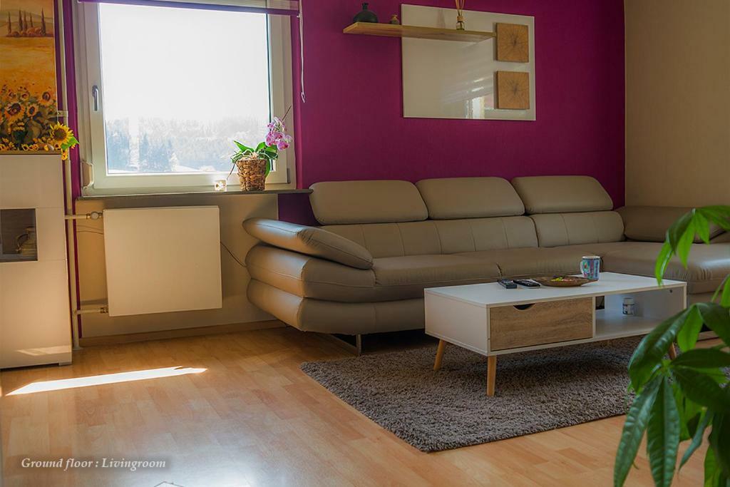 Villa Entire House in Schwarzwald with mountain view, private Gym,Sauna&Garden Unterkirnach Exterior foto
