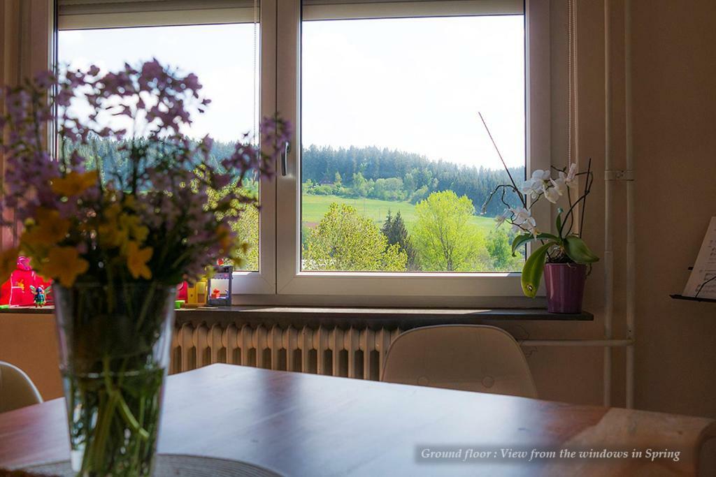 Villa Entire House in Schwarzwald with mountain view, private Gym,Sauna&Garden Unterkirnach Exterior foto
