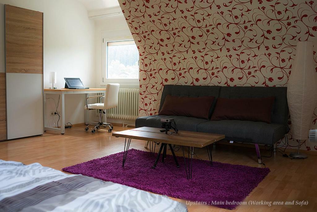Villa Entire House in Schwarzwald with mountain view, private Gym,Sauna&Garden Unterkirnach Exterior foto